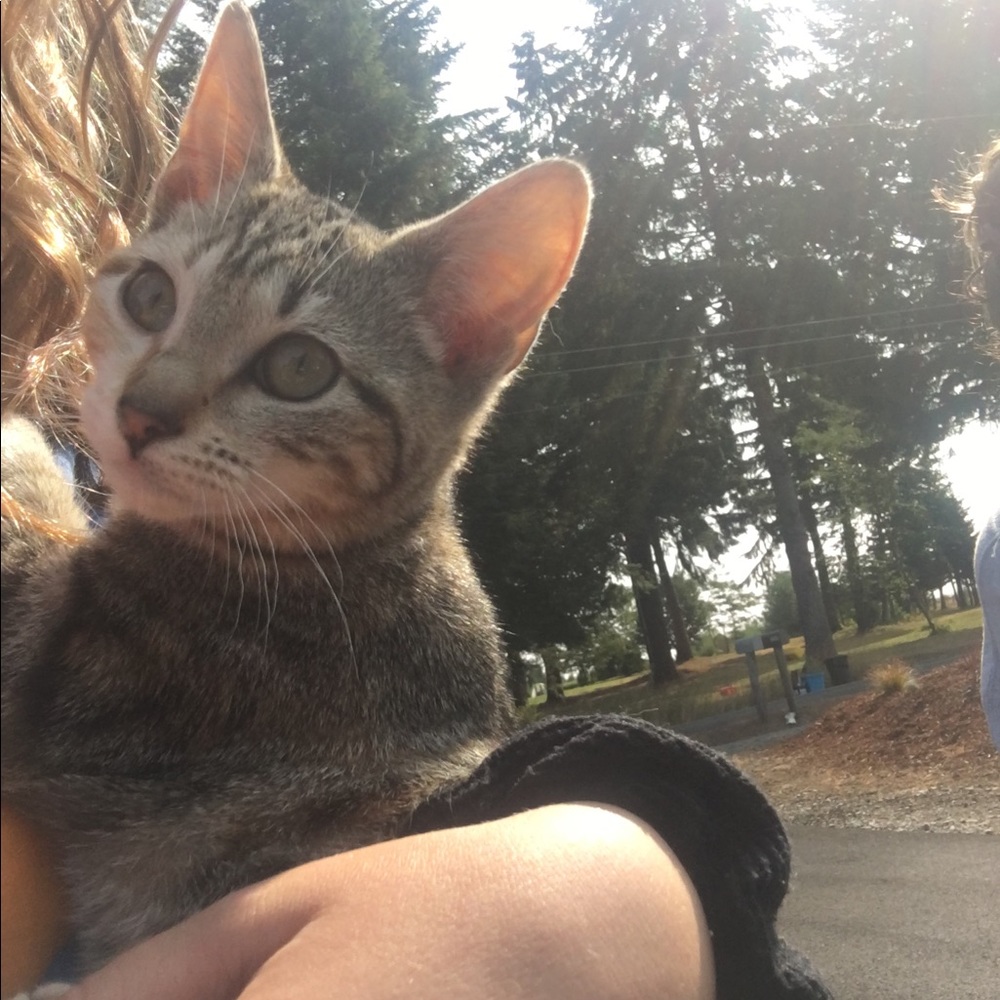 Meet your Posher, Lleilani